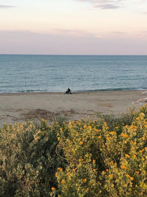 Logement Plage Saint-Cyprien  Eksteriør billede