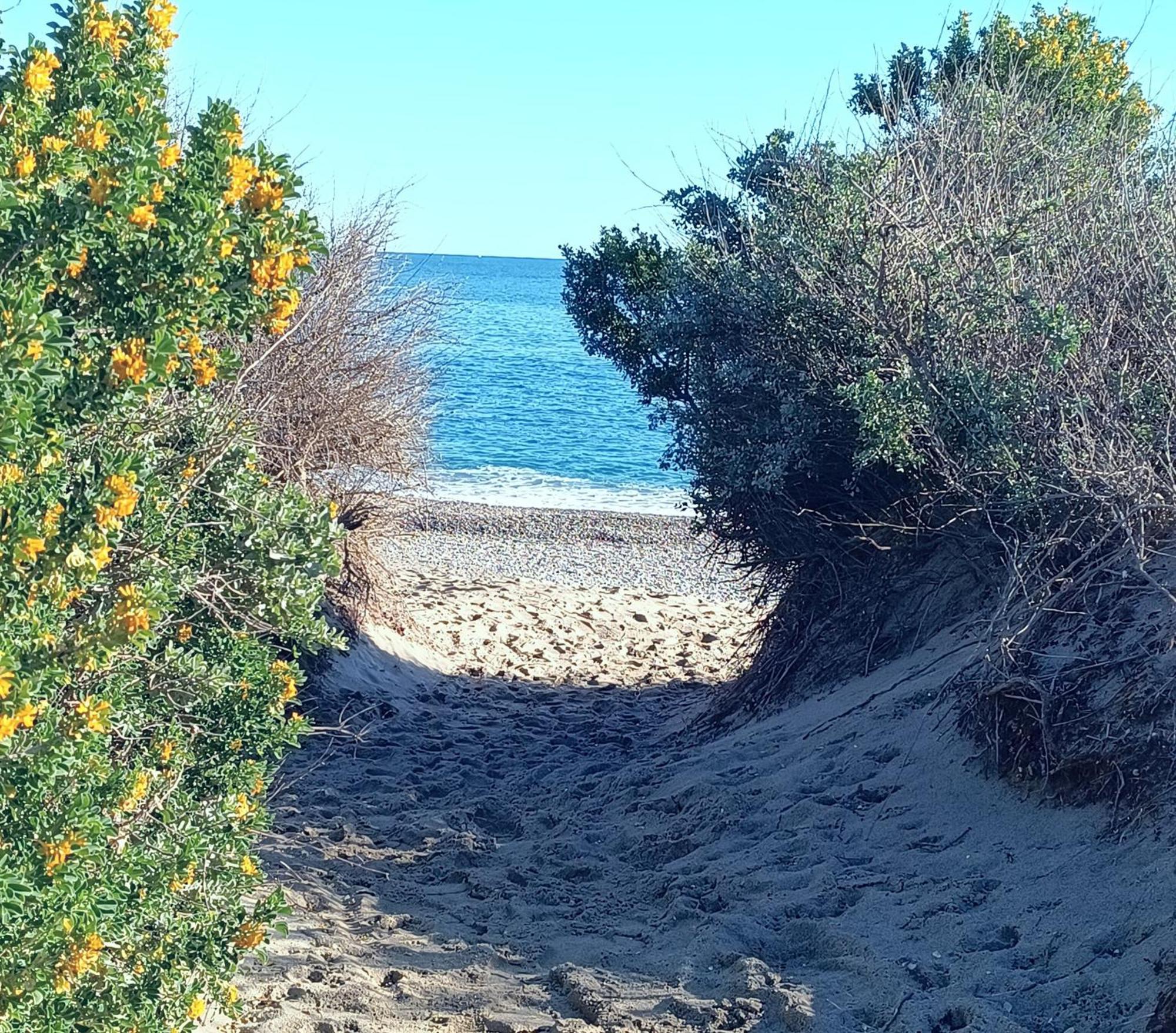 Logement Plage Saint-Cyprien  Eksteriør billede